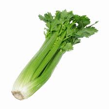 Celeri - Branche