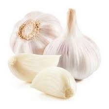 Whit garlic bulk 1 pce