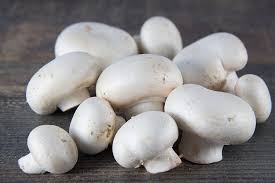 Mushroom - Tray