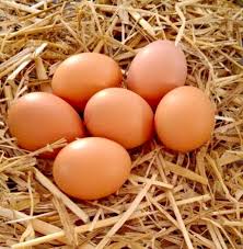 Organic Eggs  