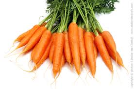 Carrot -KG 