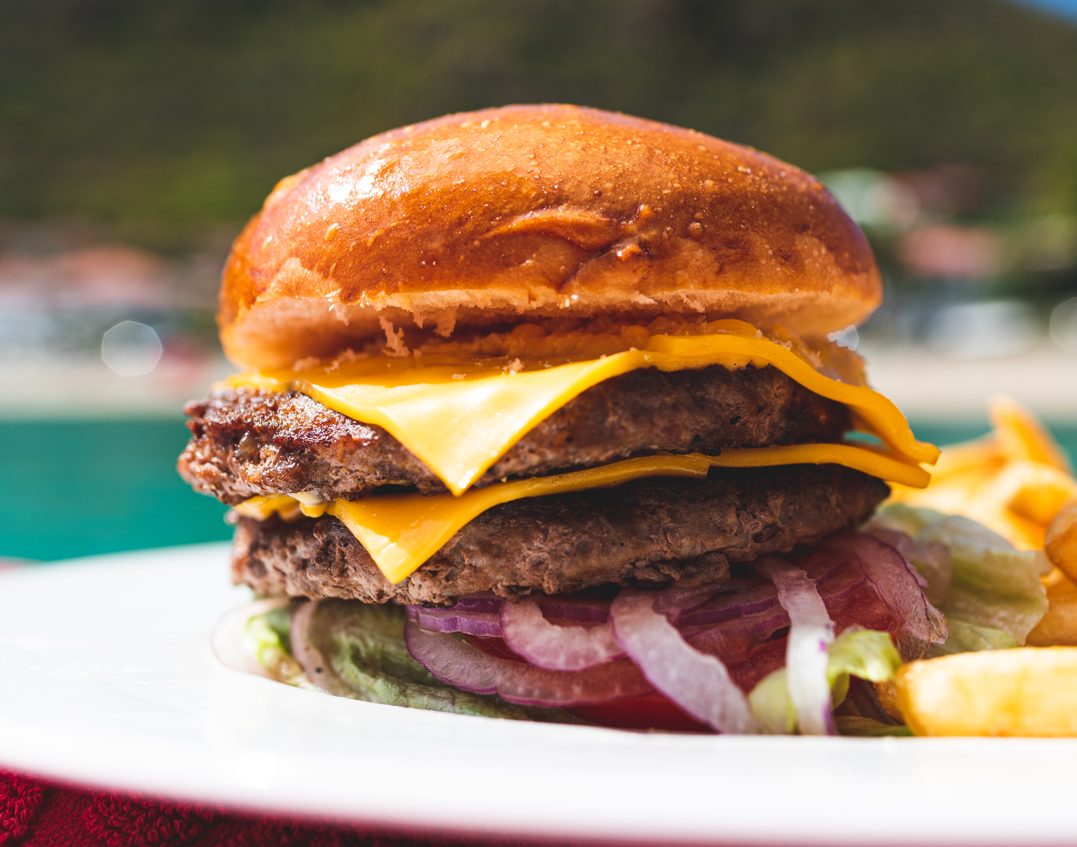 The 240: Double Cheese Burger