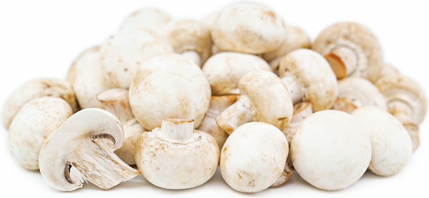 Button mushrooms 250g 