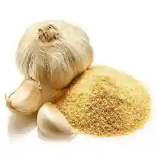  Garlic Powder